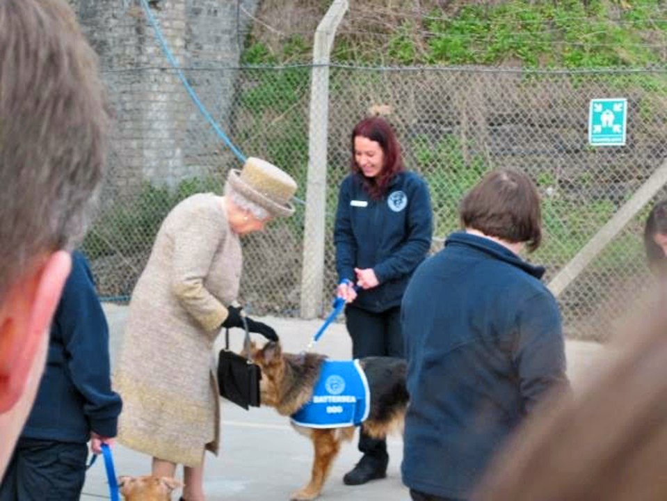 Rachel Driscoll was working at Battersea Dogs and Cats Home in March 2015 when the Queen and Prince Philip arrived