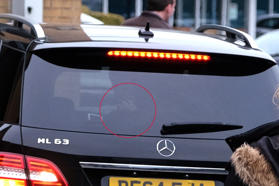 Katie Price's hand can be seen clutching onto the seat as she's driven away