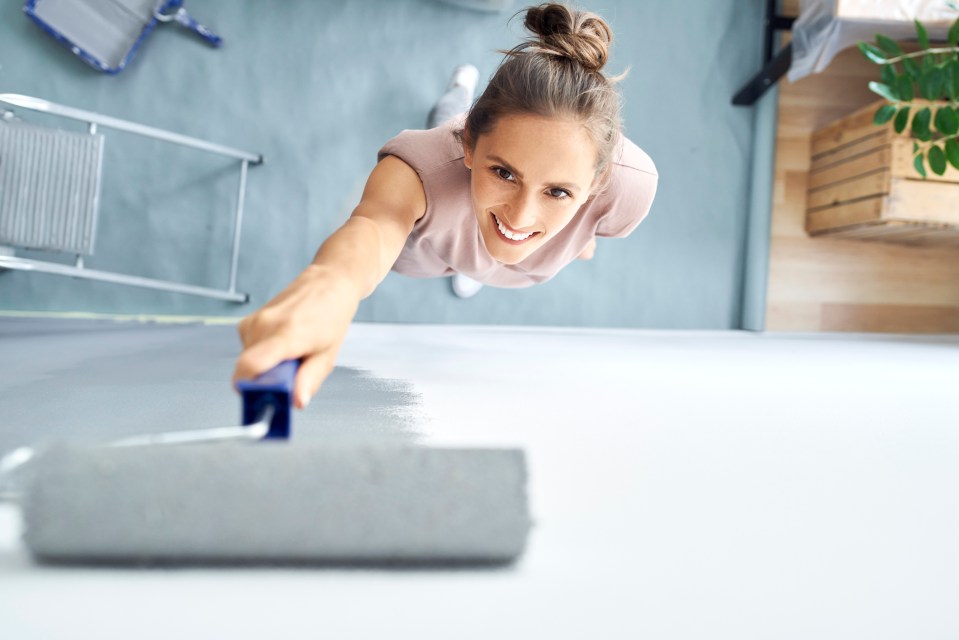 Rollers can save time but you'll need brushes too