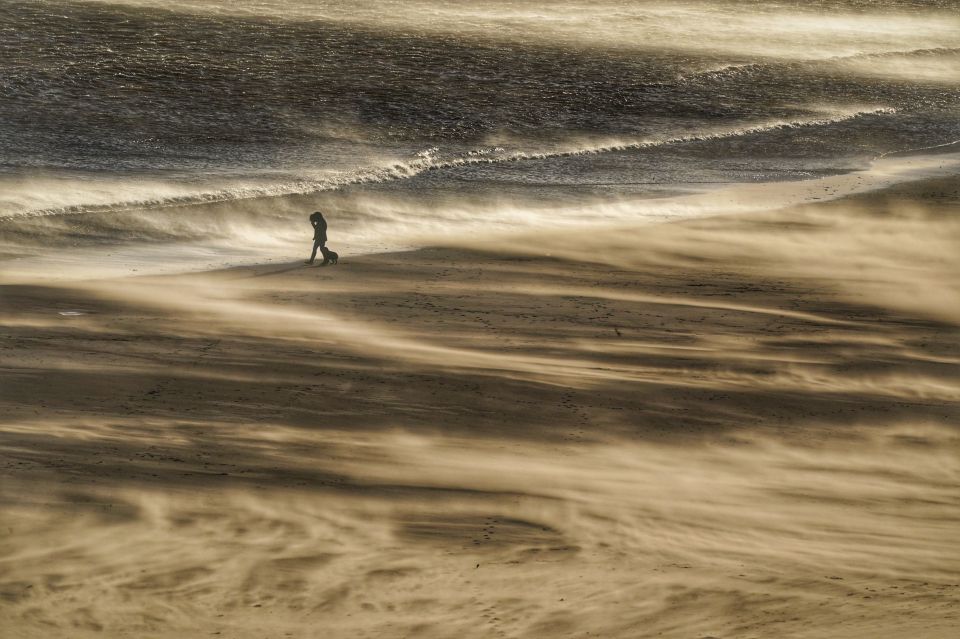 A dog walker on a windy Tynemouth beach on the North East coast