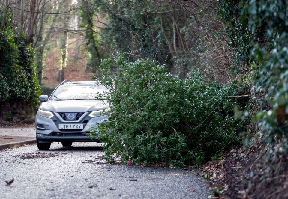 A fallen tree blocks a road in Woodlesford in West Yorkshire