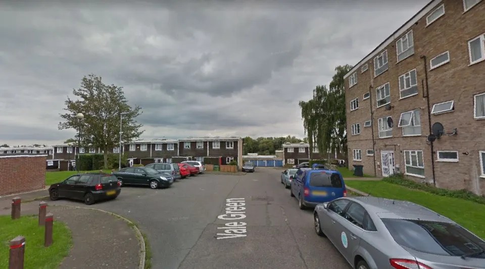 A teen stabbed to death in Vale Green, Norfolk, has been named. Stock picture