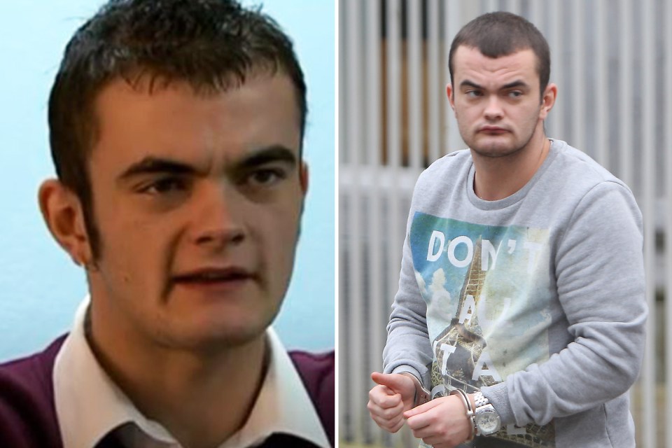 Craig Fitzgerald was jailed for 18 months after the machete attack