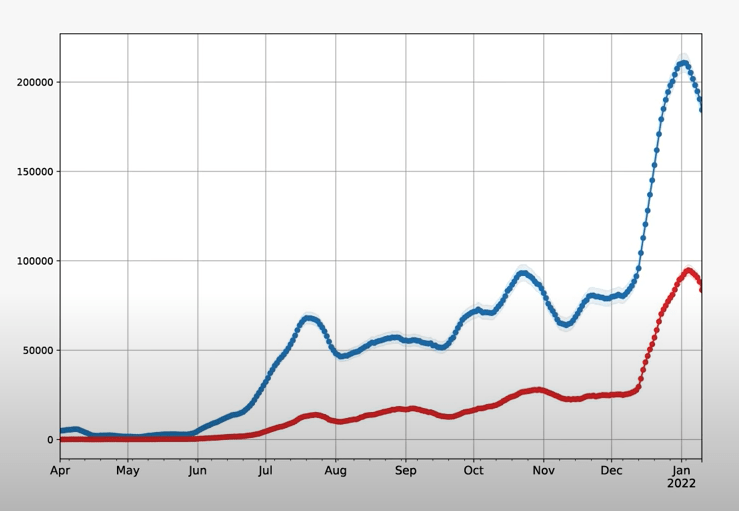 UK cases are dropping - the blue line shows cases in all people, the red line shows cases in people with  at least two vaccine doses