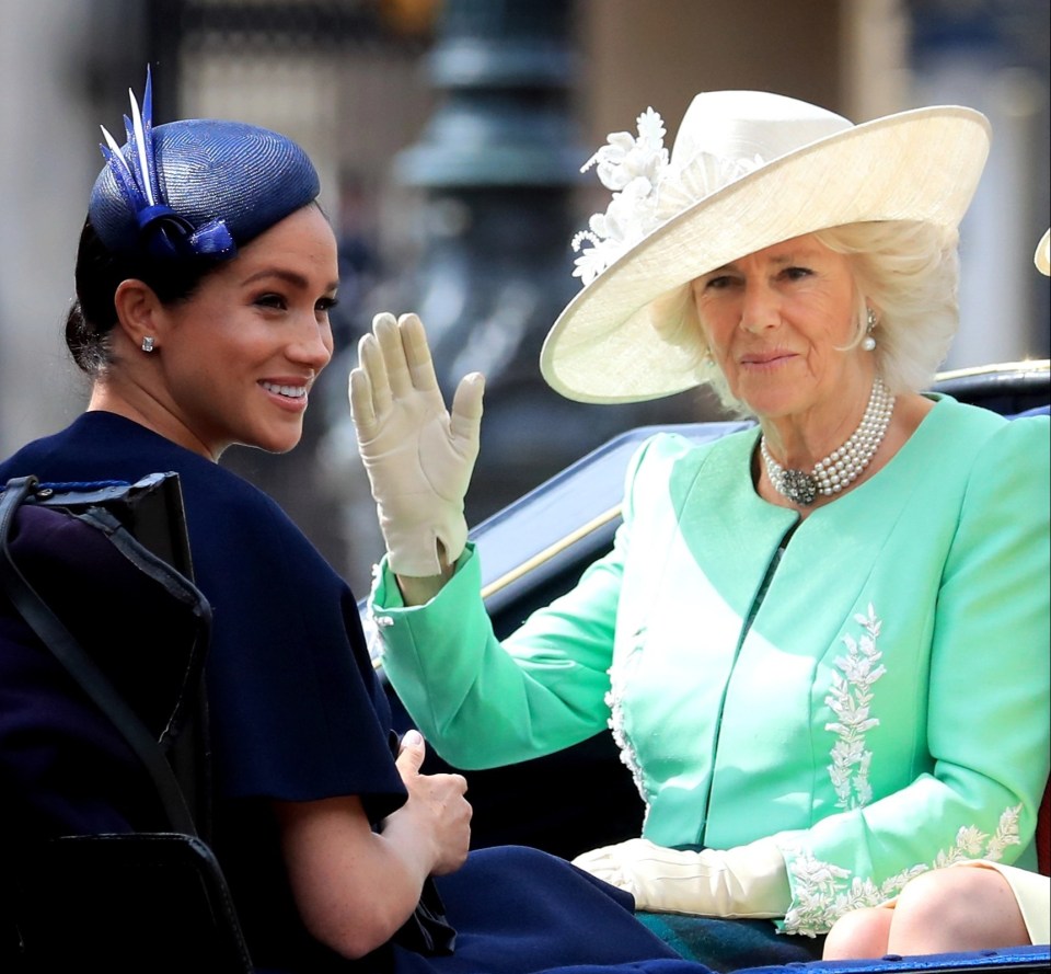 Camilla has landed one of Meghan Markle's former royal roles