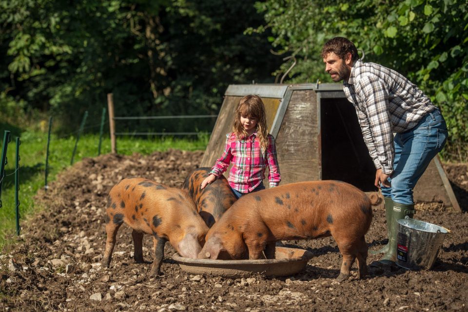 Don't miss the BBC's  Kelvin Fletcher's Big Farm Adventure