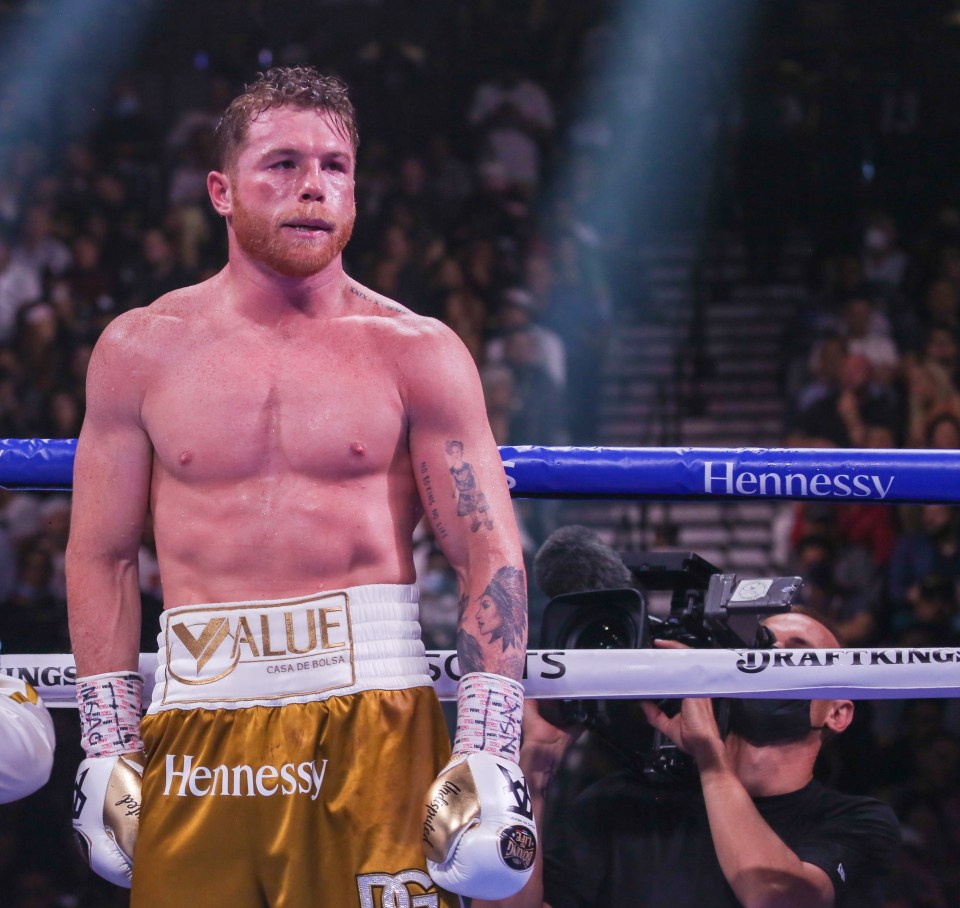 Canelo is the world's best boxer