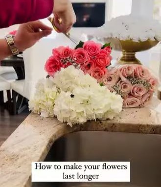 From cutting stems to using ice water, there are several things that will make the flowers last longer