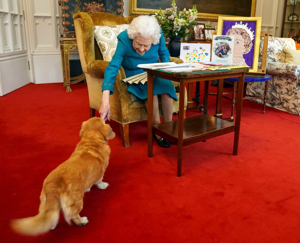 Candy trotted over to the Queen in the Oak room as she opened cards from jubilee well-wishers