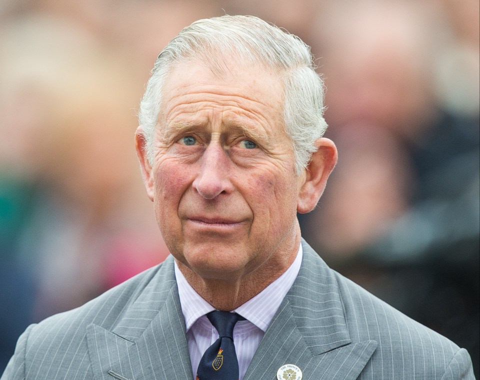 Scotland Yard has launched an investigation into allegations of a 'cash for honours' scandal involving the Prince of Wales Foundation