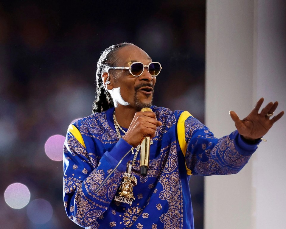 Snoop Dogg was part of a star-studded line-up that included 50 Cent and Eminem