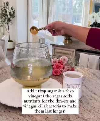 Despite her recommendation, someone claimed the water-vinegar mixture killed their flowers