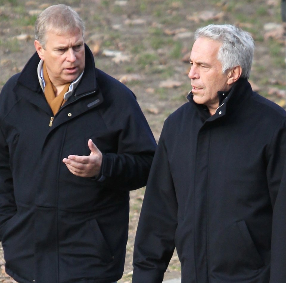 Prince Andrew went and met with Jeffrey Epstein in 2010