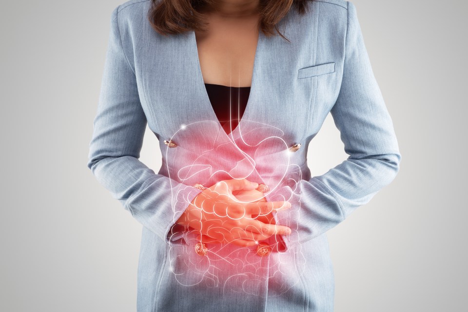 IBS or irritable bowel syndrome is a common condition that affects the digestive system