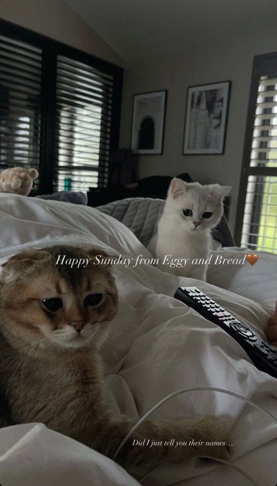 Molly announced the name of her two adorable cats