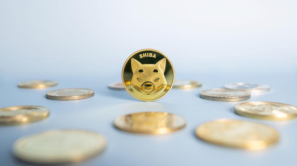 Shiba Inu mem coin