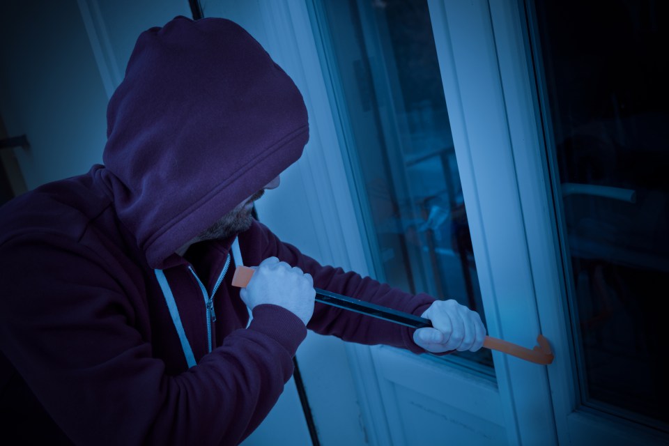 Easy-to-break locks, unbolted windows and lock-free garden gates are all simple ways that burglars can access your house