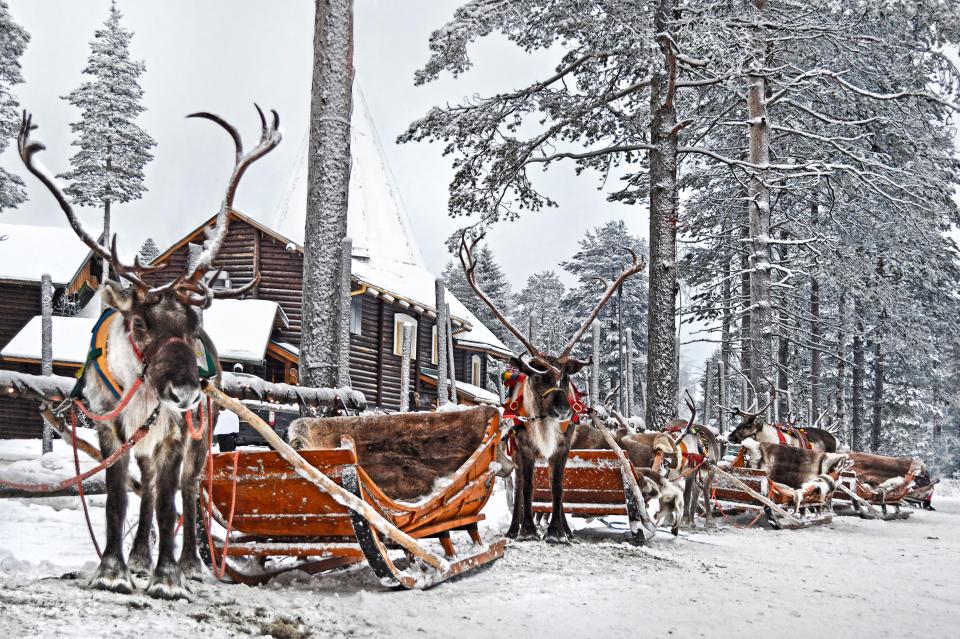 Kids can ride in Santa's reindeer sleigh in Lapland.