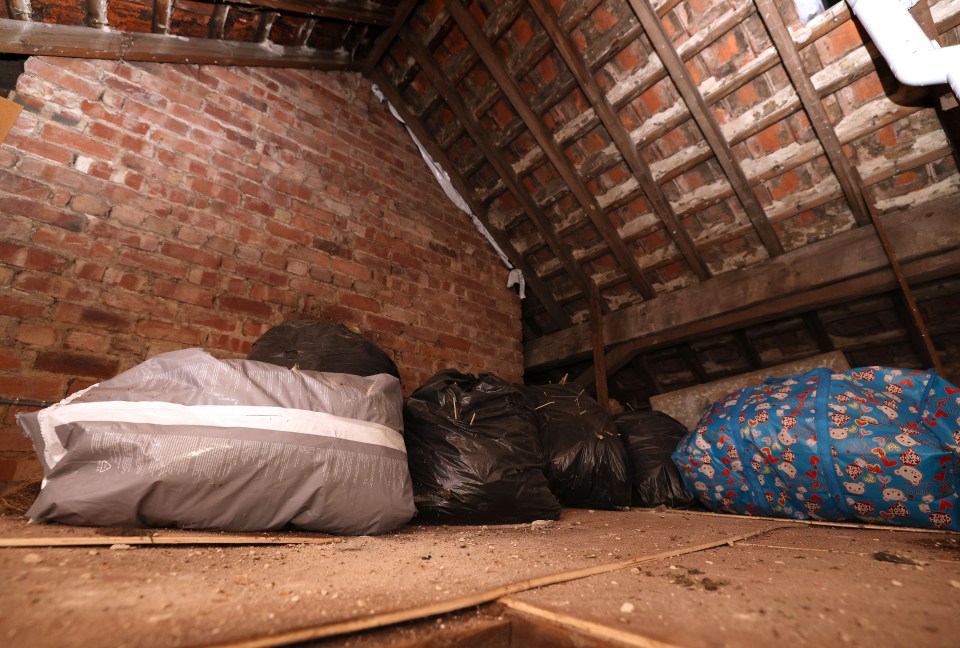 The couple say there are the remains of a cannabis farm in their loft