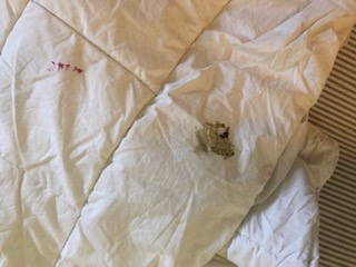 Becky also found a shard of metal sticking out of the mattress