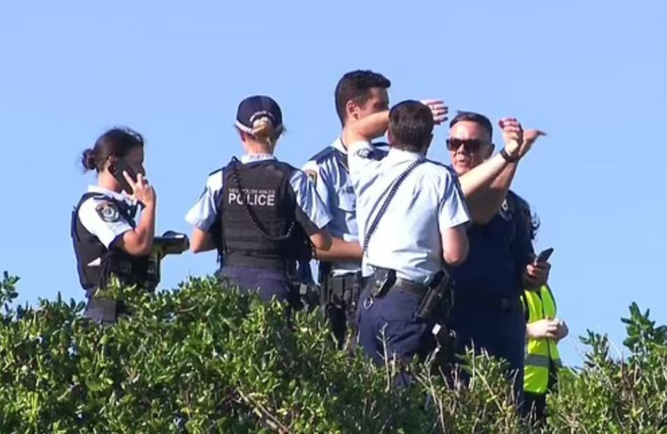 Emergency services scrambled to the scene in Sydney following the tragic shark attack