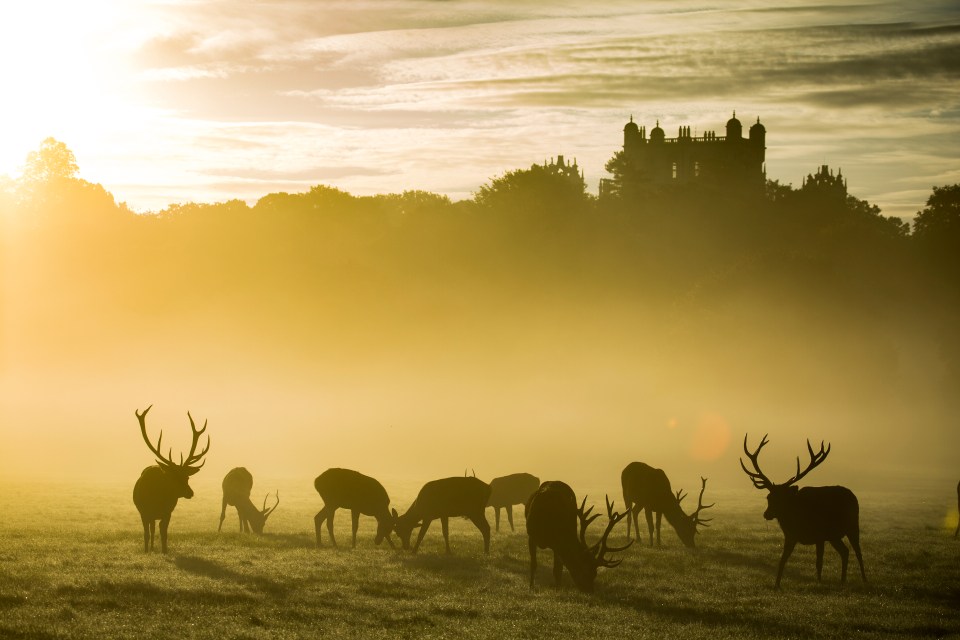 Nottingham has a captivating history for visitors to explore