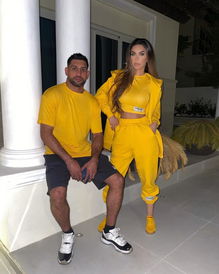 Amir Khan says his wife Faryal Makhdoom set up his tough training camp in the USA without telling him – while he was in Dubai