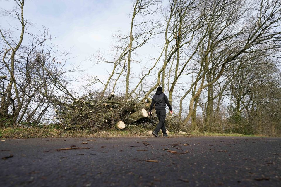 Schools have been shut and Brits urged to work from home