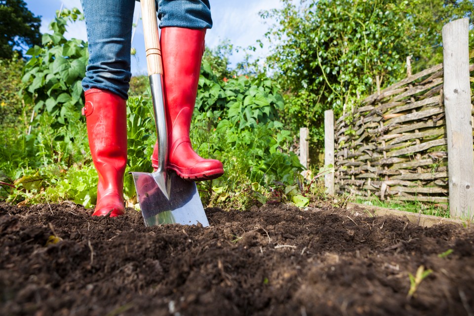 Muscle-strengthening does not need to be weightlifting – heavy gardening counts, too