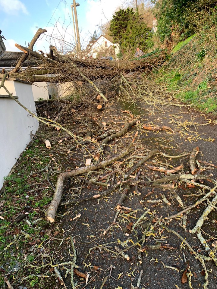 Storm Eunice brings down a tree on a house in Dartmouth, Devon