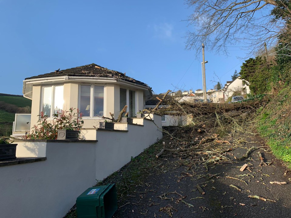 Storm Eunice brings down a tree on a house in Dartmouth in Devon