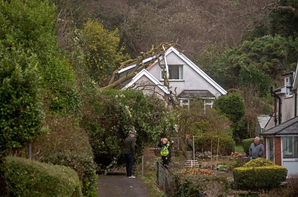 Police attending after high winds pushed over a tree onto the roof of a house in the Mumbles district of Swansea