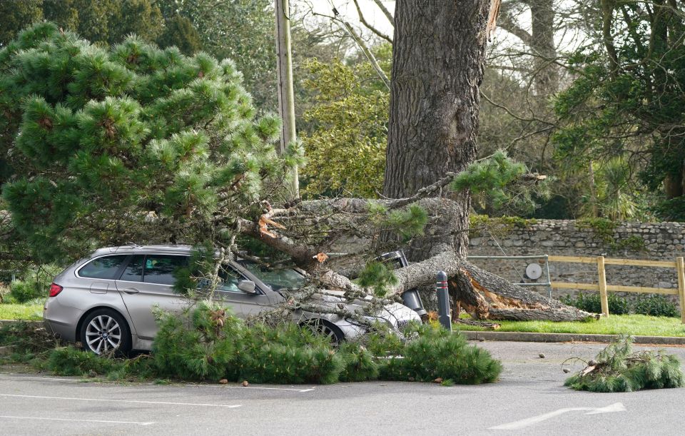 A fallen branch on a car in Lyme Regis, west Dorset