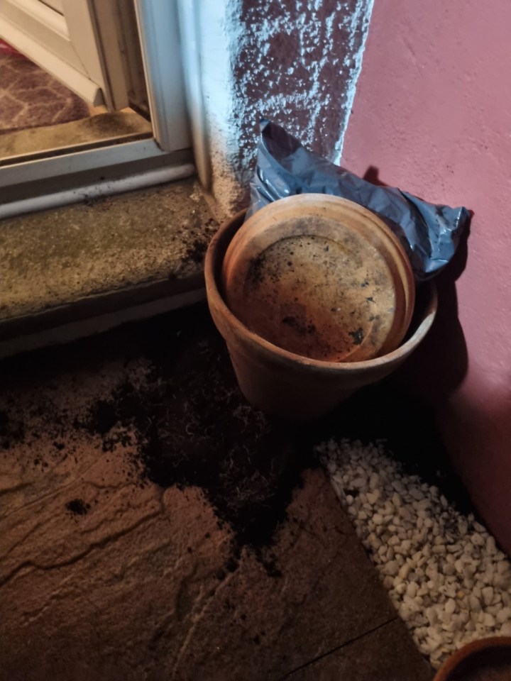 Siobhan Redfern returned home to find her plant pot had been emptied by a Hermes delivery driver