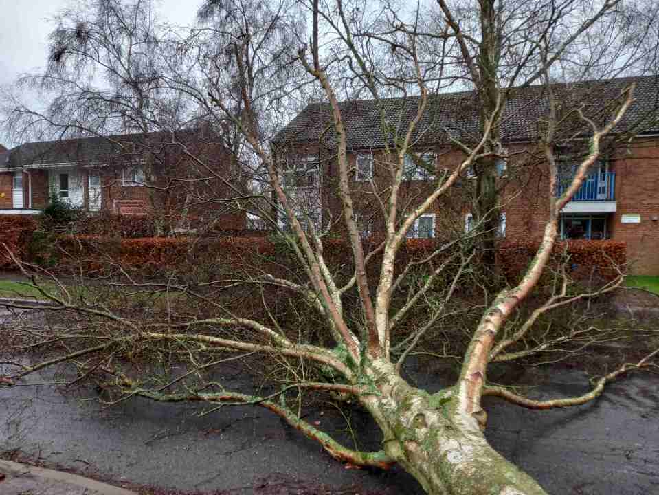 Neighbours were fuming after it was left in the road