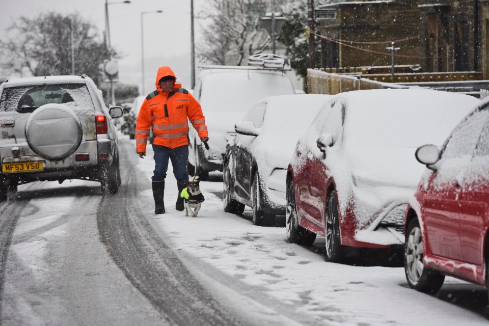 A dog walker dressed his pet in a thick jacket for a chilly walk in Queensbury, West Yorkshire