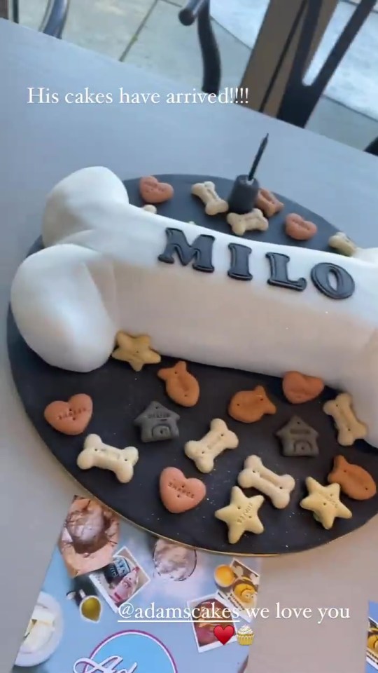 The lucky pet had his own bone-shaped cake