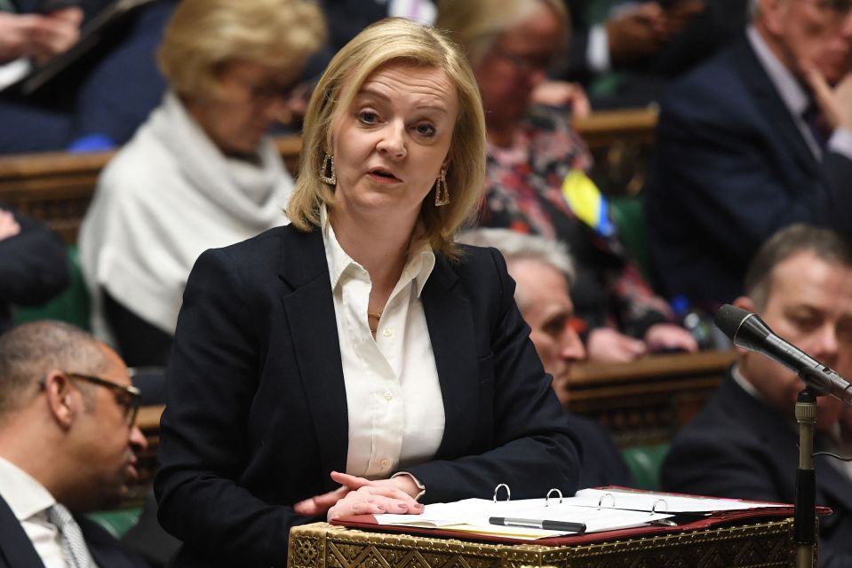 Liz Truss backed Brits who wished to travel to Ukraine to fight