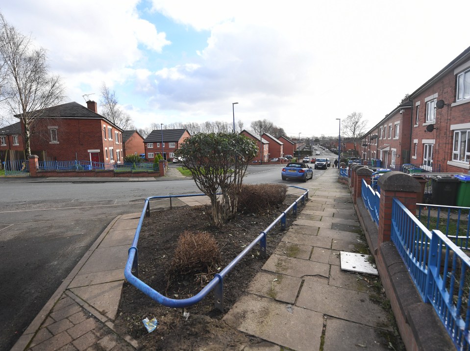 Families in Cedar Avenue have been complaining about mould and damp