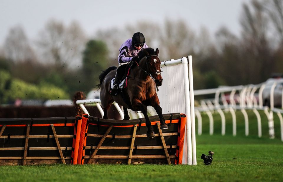 Newbury is hosting the Betfair Hurdle this weekend