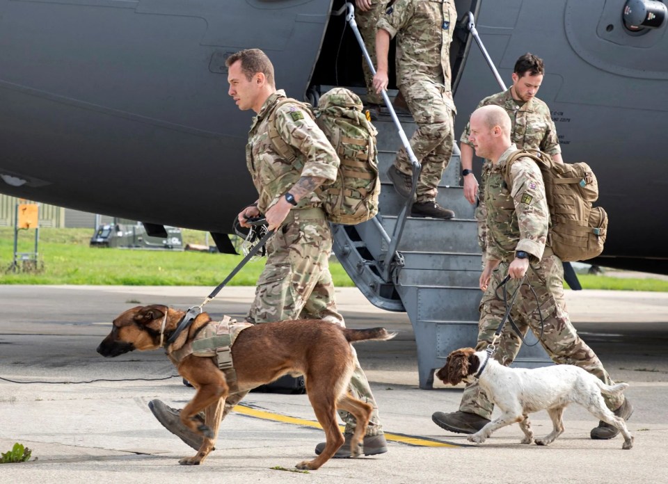 An unnamed SAS hero has been nominated for a bravery award after rescuing his stricken dog during a firefight in Afghanistan. File picture