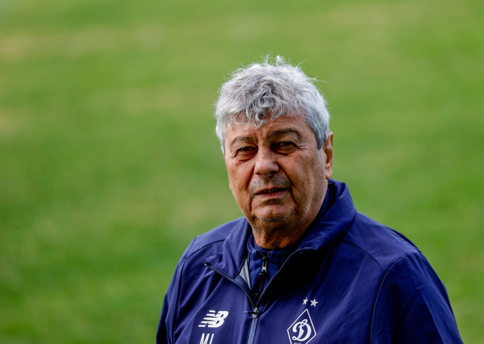 Mircea Lucescu has slammed 'people with no brains'