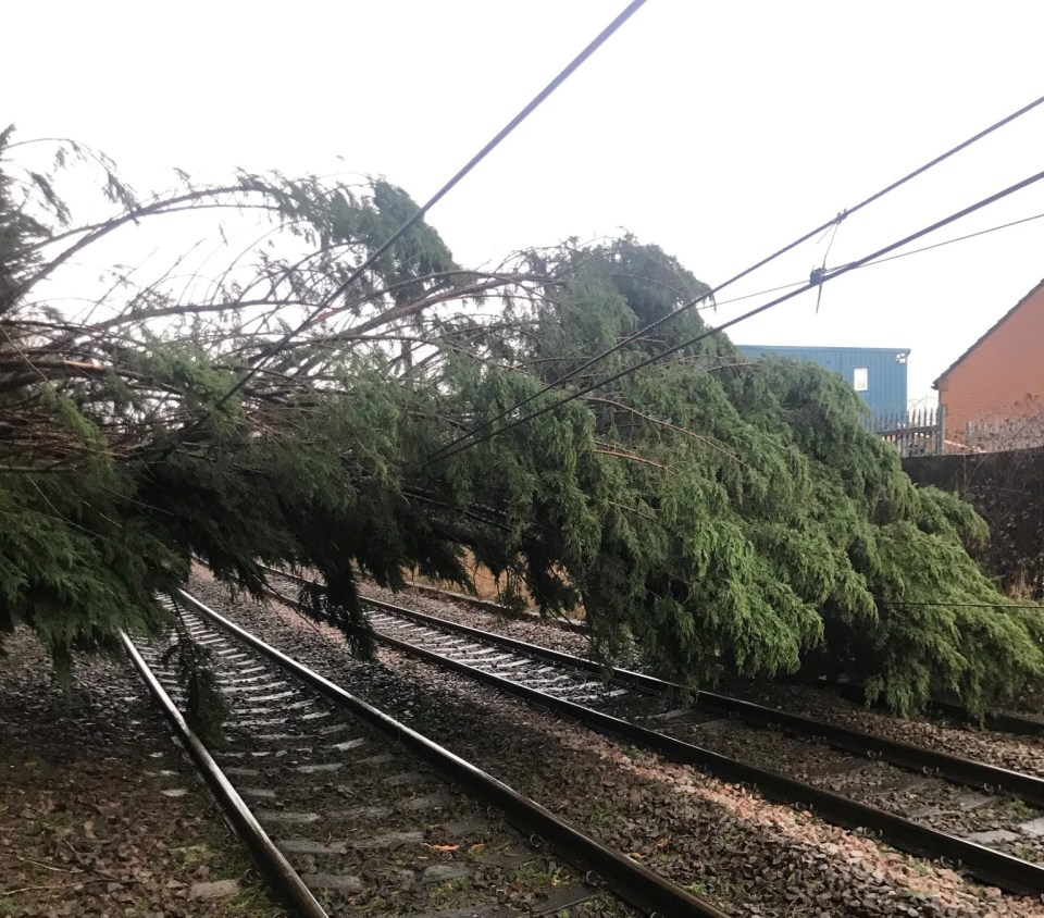 A fallen tree on the tracks in Keighley, west Yorkshire