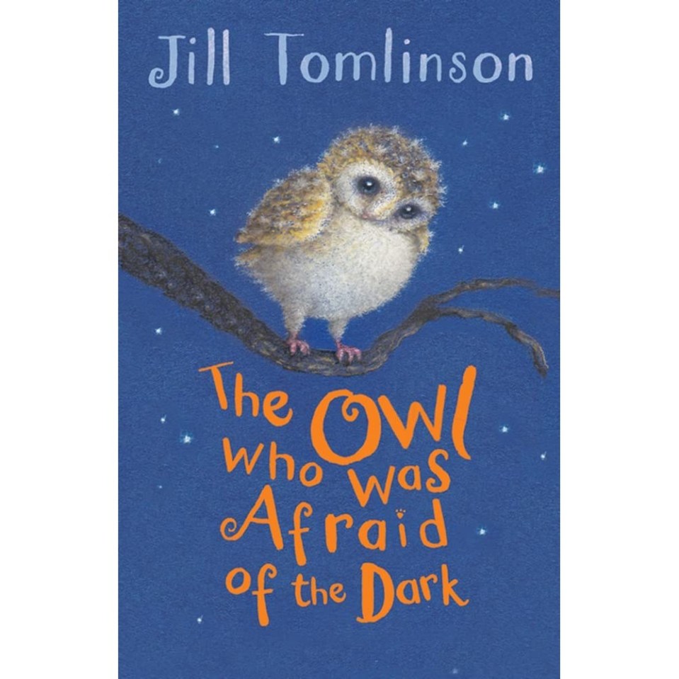 The Owl Who Was Afraid of the Dark follows the story of Plop, a baby barn owl, who is helped by others to grow in confidence and overcome his fears