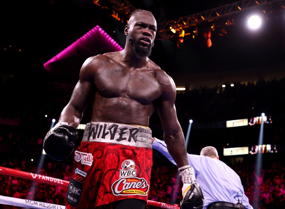 Deontay Wilder could have fought AJ