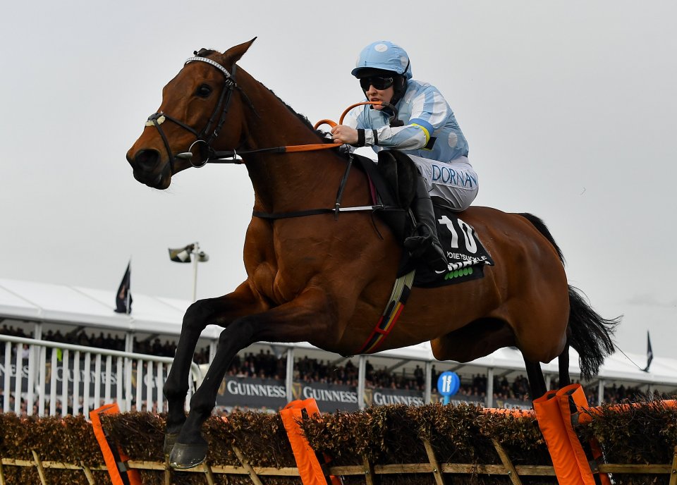 Cheltenham is down to its final race