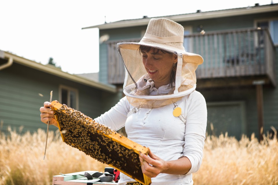 Virgin Experience Days is brimming with ideas for the leading lady in your life, including beekeeping