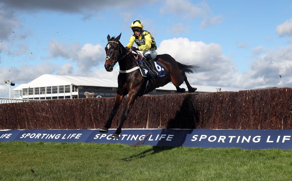 The fences can be as tall as four and a half feet depending on the race