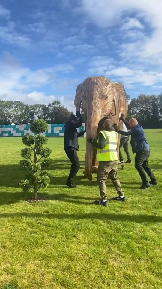 Gemma told how a giant elephant statue helps give her privacy during her garden strip