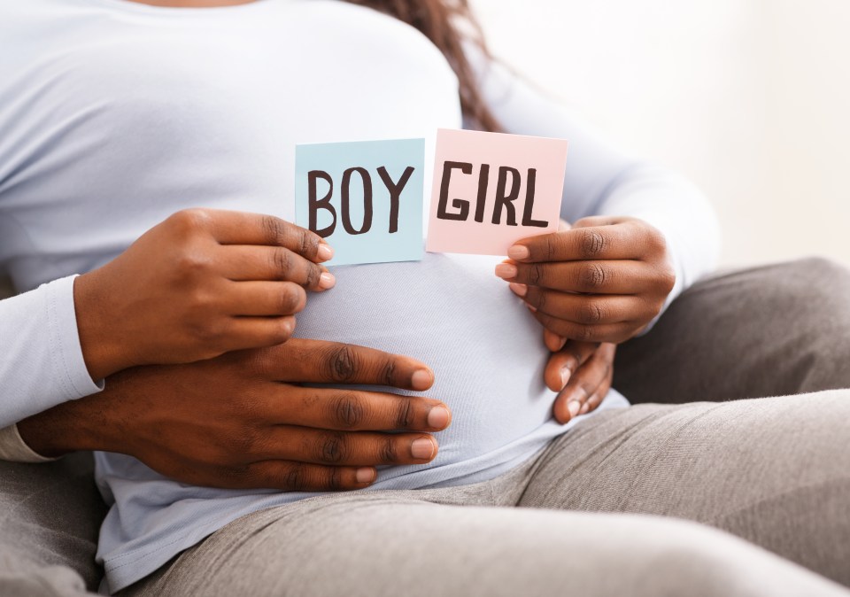 A gender reveal sparked outrage for dog owners (stock image)